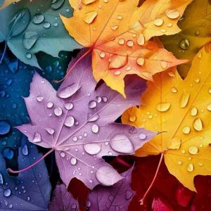 دانلود آهنگ هر کی رو پاش موند دمشم گرم پشیمونی نیست ته قلبم